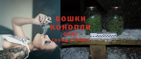 хмурый Каменногорск