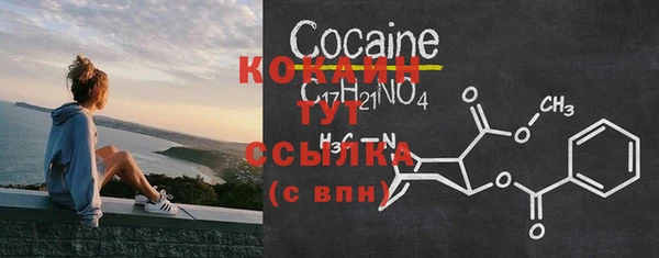 хмурый Каменногорск