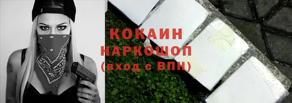 дживик Каменка