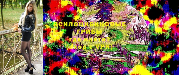 хмурый Каменногорск