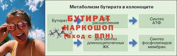 хмурый Каменногорск