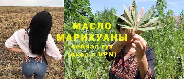 дживик Каменка