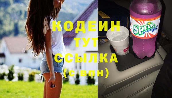 стаф Каменск-Шахтинский