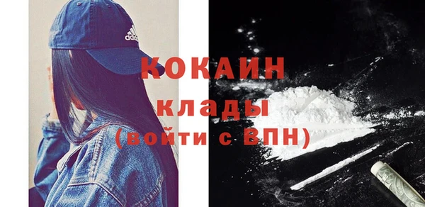 стаф Каменск-Шахтинский